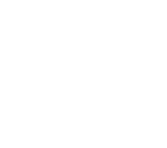 Logo Anari Branco